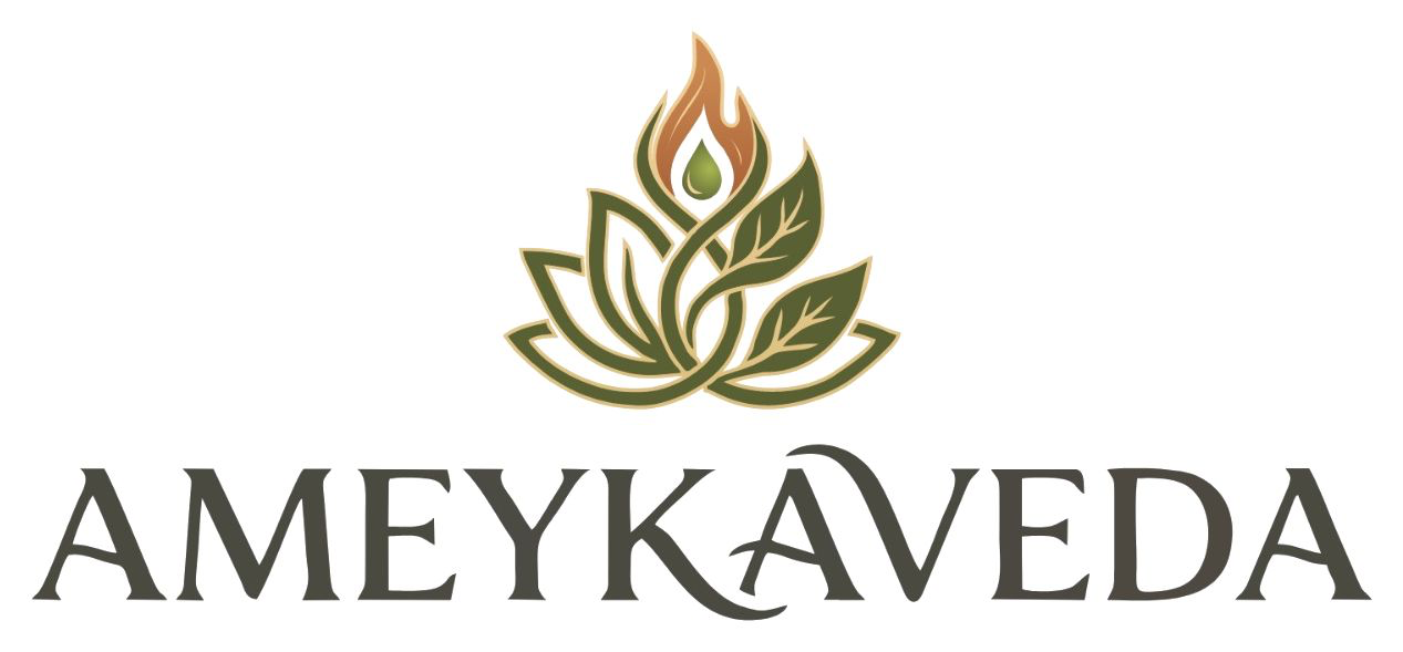 Ameyka Veda logo